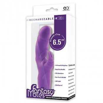 Фиолетовый вибратор с клиторальным стимулятором Mates Fantasy Recharge Vibrator - 17 см.